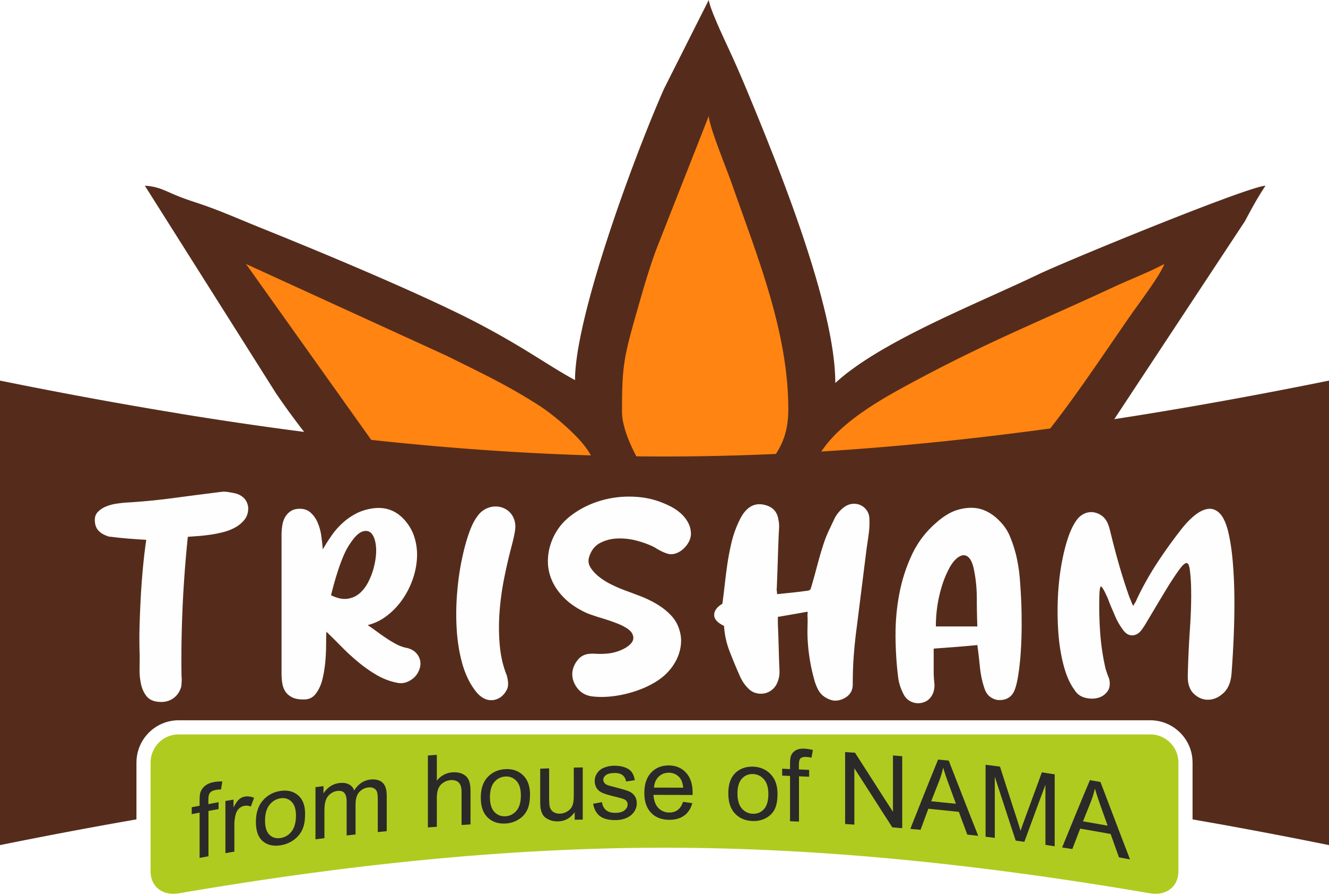TrishamDryfruits